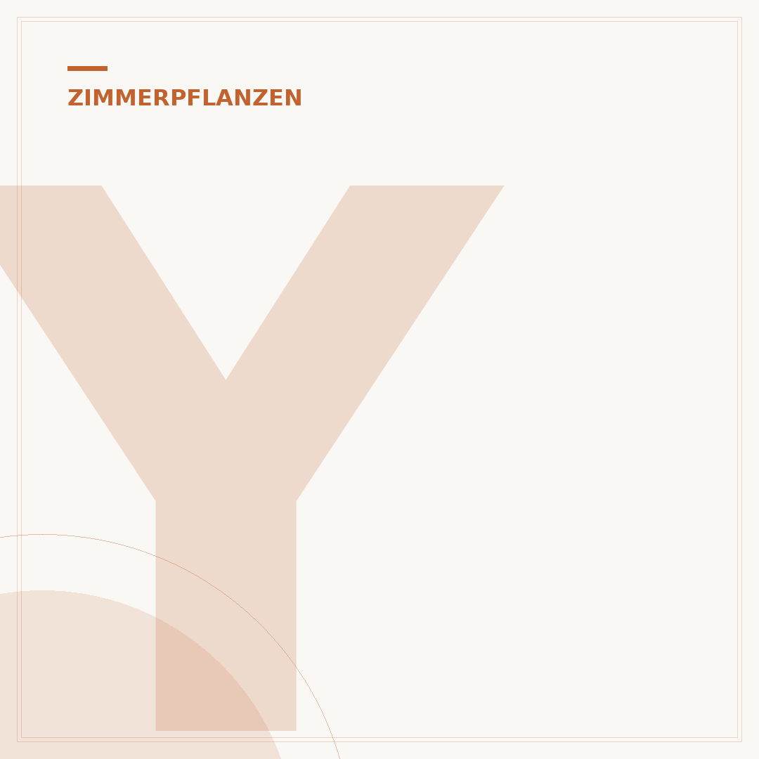 Yucca Palme als Zimmerpflanze: Pflege und Haltung
