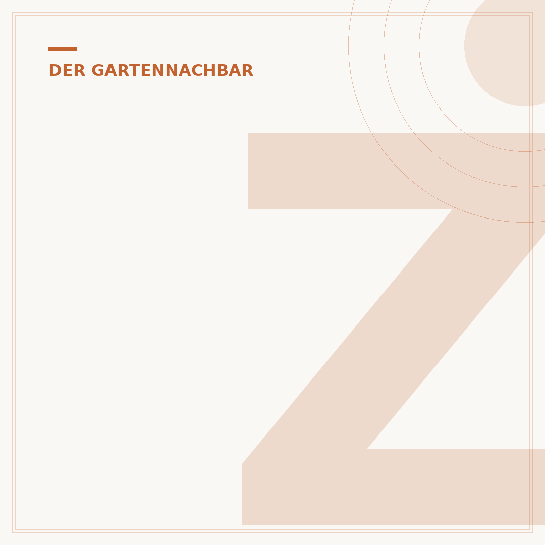 Zimt-Schnecken einfach backen