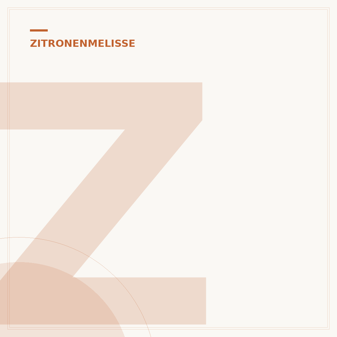 Zitronenmelisse vermehren: Aussaat, Stecklinge und Teilung