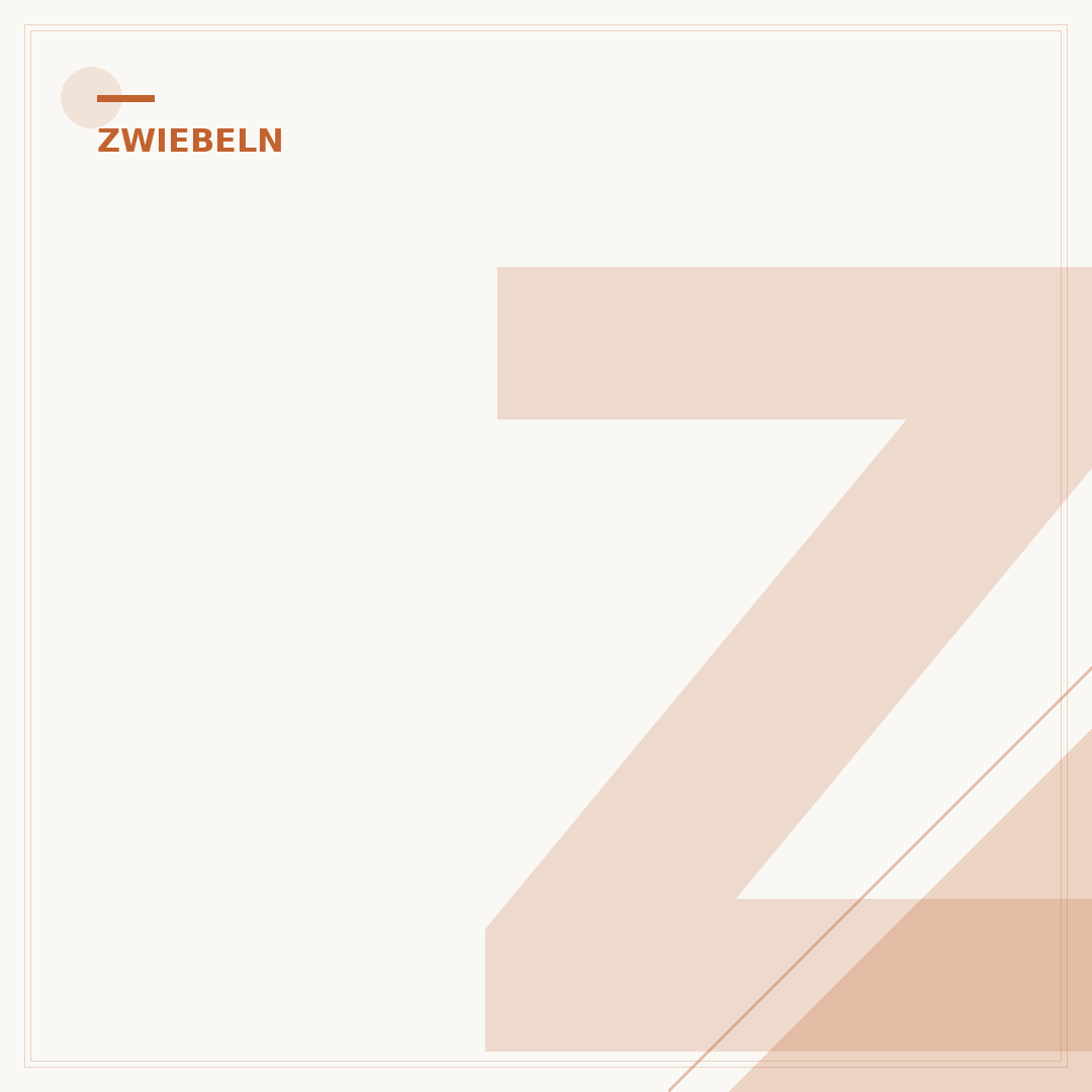 Zwiebeln anbauen: Der Ratgeber für Ihren Garten