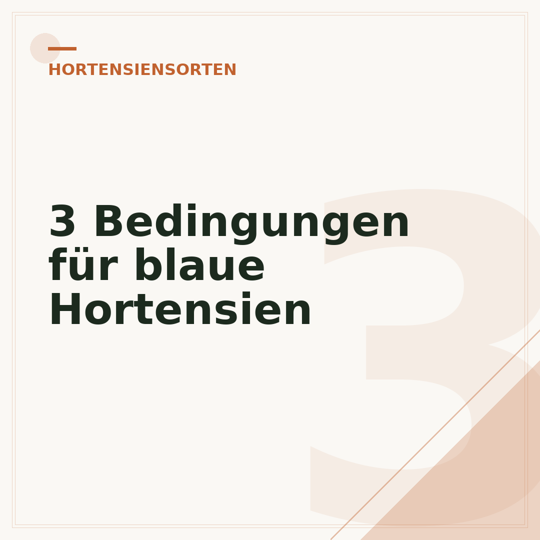 3 Bedingungen für blaue Hortensien