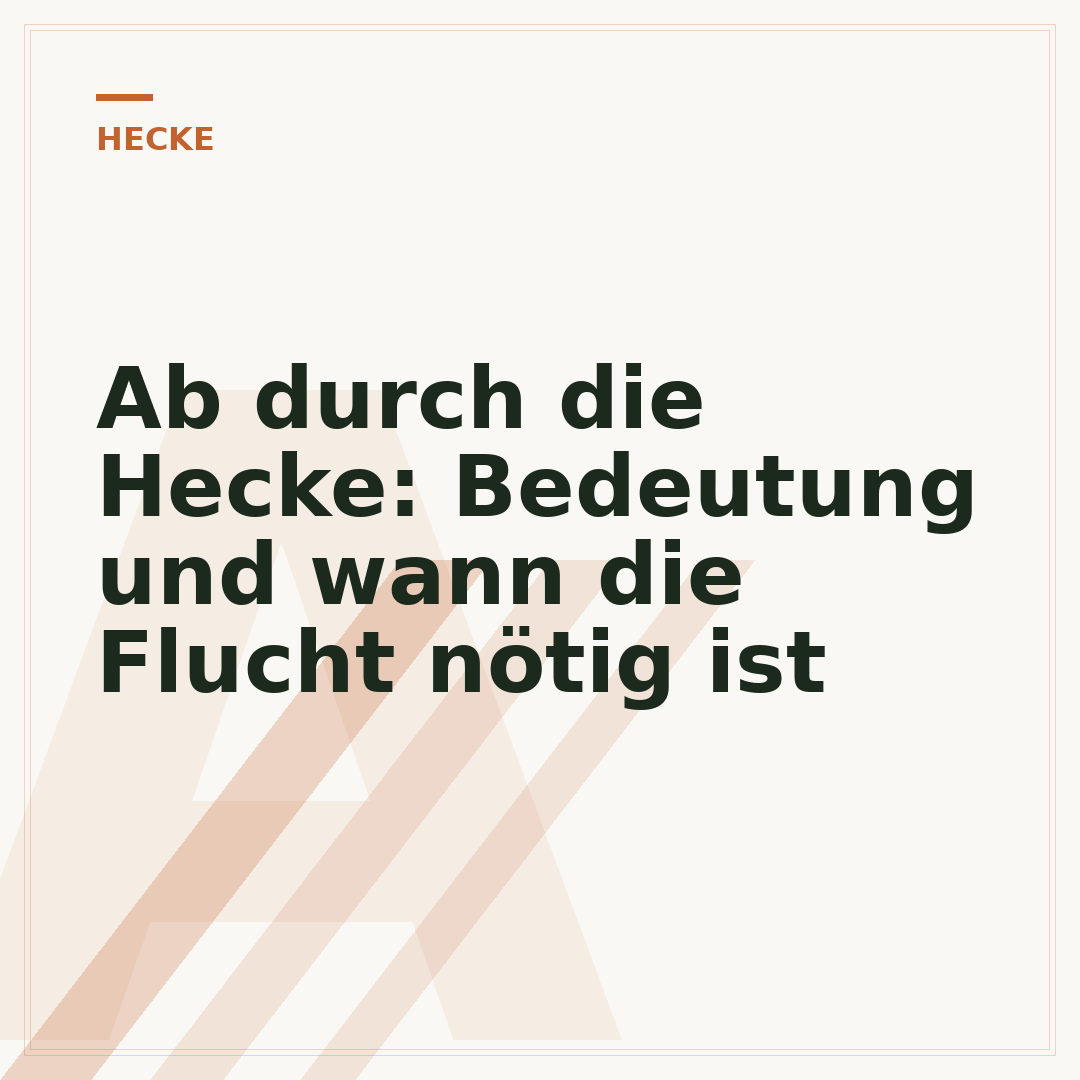 Ab durch die Hecke: Bedeutung und wann die Flucht nötig ist