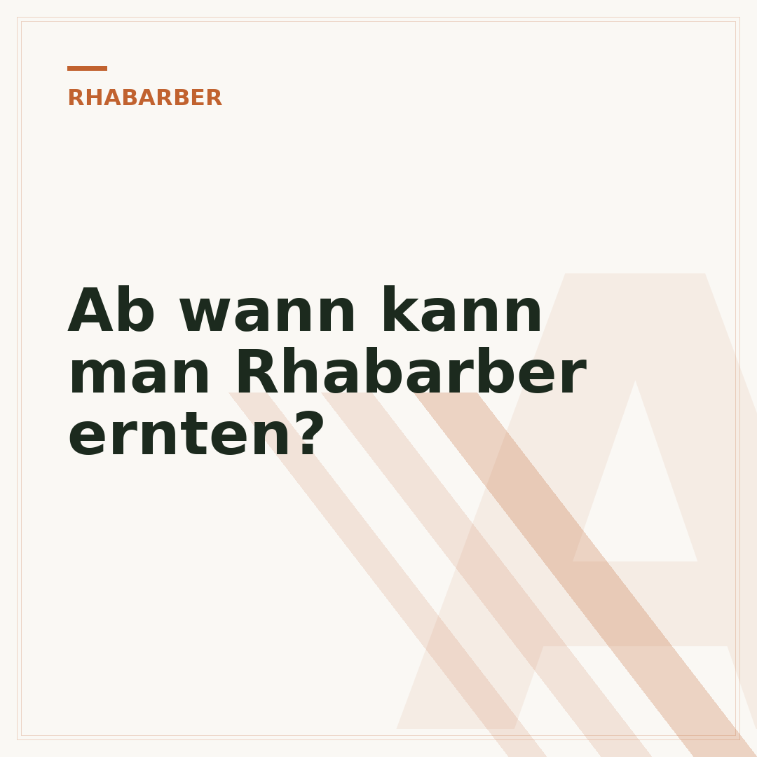 Ab wann kann man Rhabarber ernten?