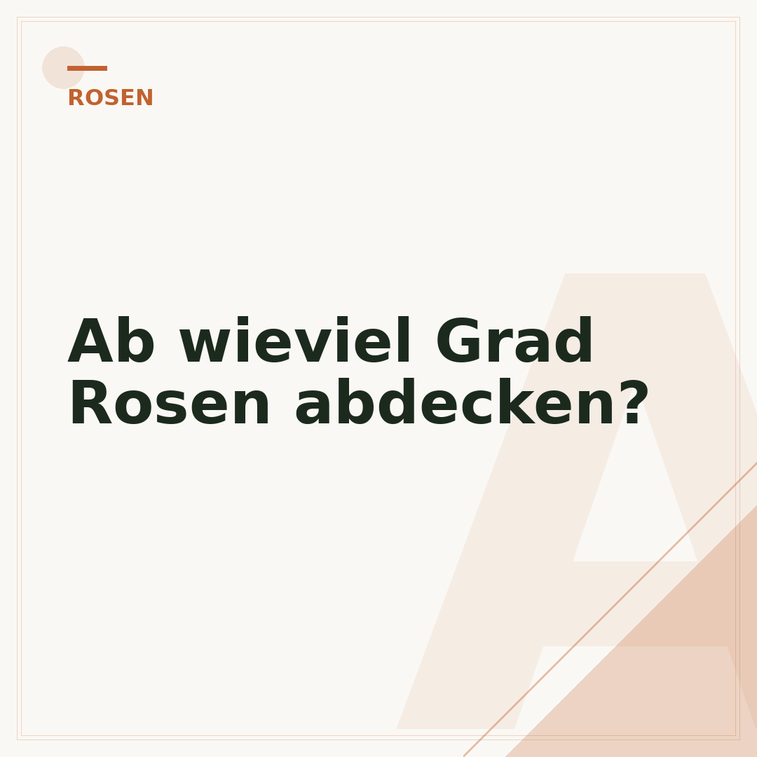 Ab wieviel Grad Rosen abdecken?