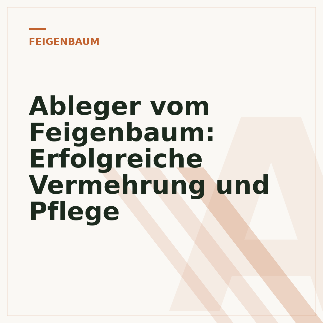 Ableger vom Feigenbaum: Erfolgreiche Vermehrung und Pflege