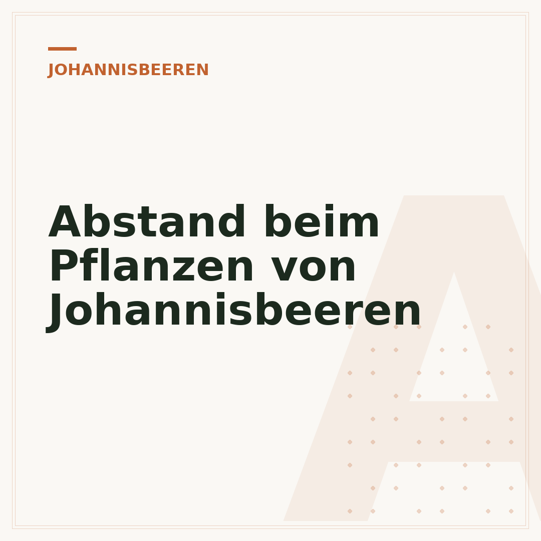 Abstand beim Pflanzen von Johannisbeeren