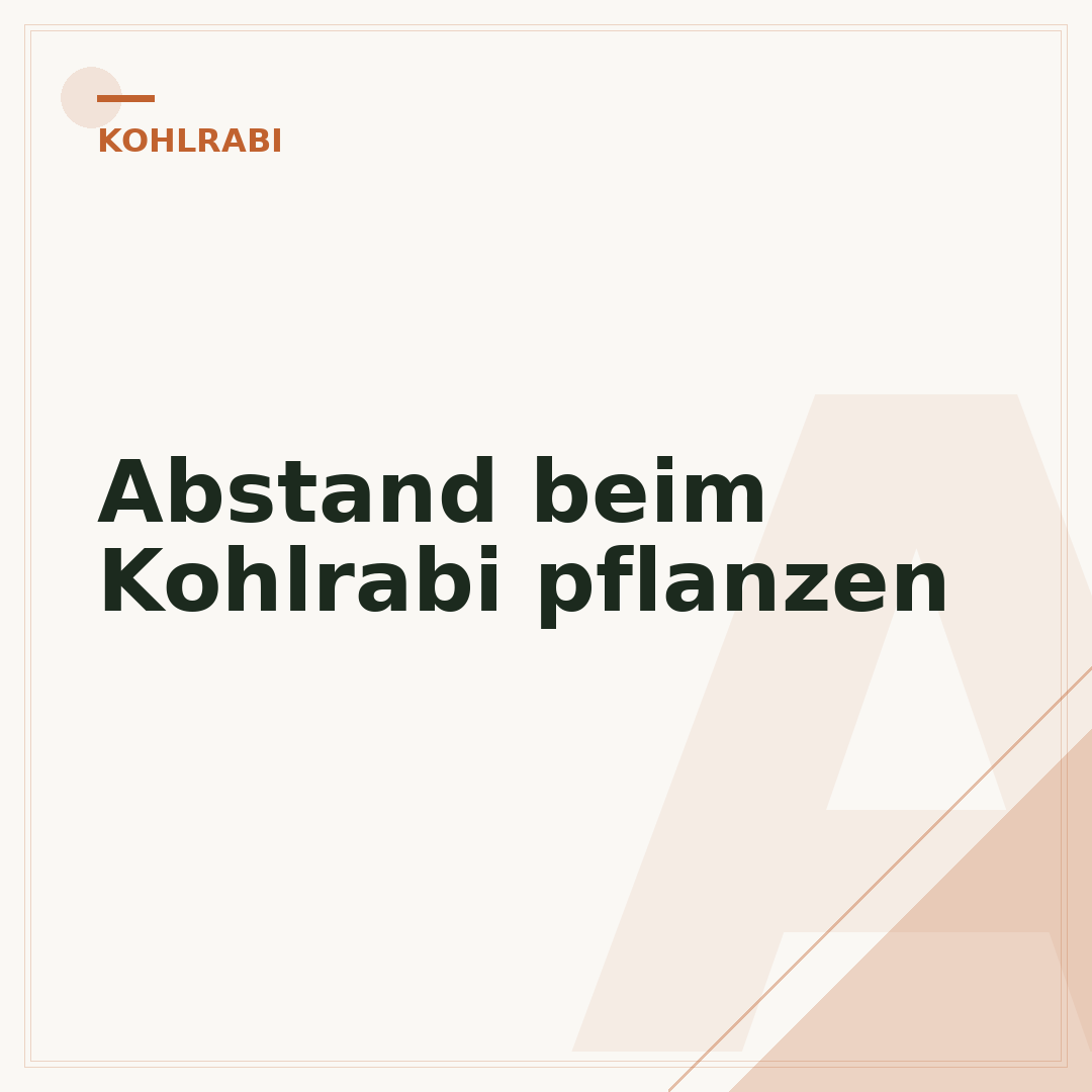 Abstand beim Kohlrabi pflanzen