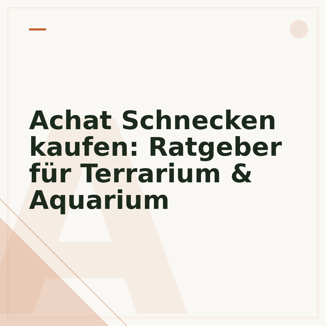 Achat Schnecken kaufen: Ratgeber für Terrarium & Aquarium