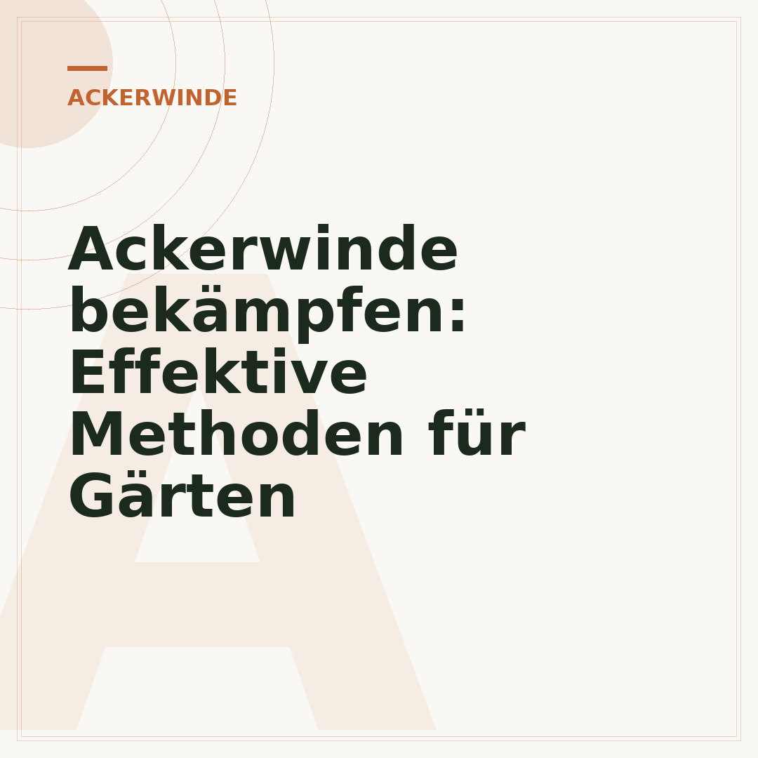 Ackerwinde bekämpfen: Effektive Methoden für Gärten