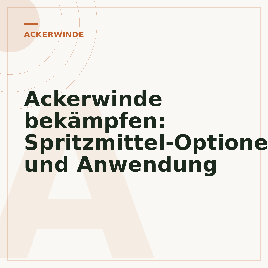 Ackerwinde bekämpfen: Spritzmittel-Optionen und Anwendung