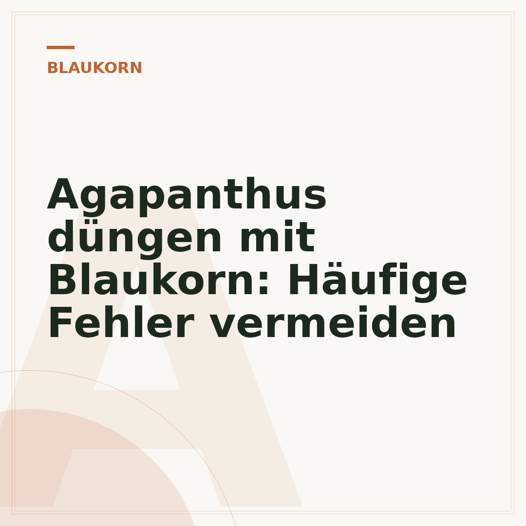 Agapanthus düngen mit Blaukorn: Häufige Fehler vermeiden