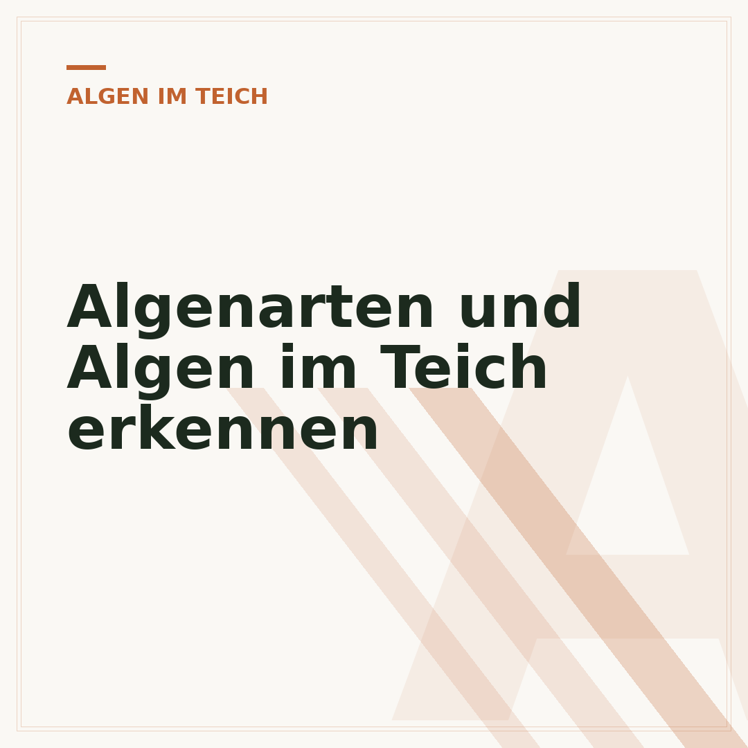 Algenarten und Algen im Teich erkennen