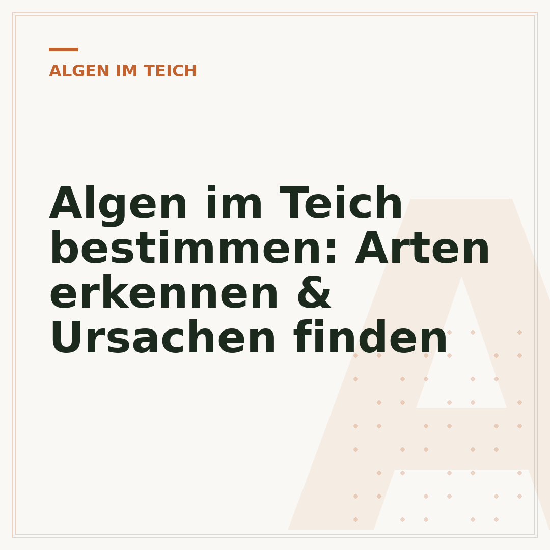 Algen im Teich bestimmen: Arten erkennen & Ursachen finden