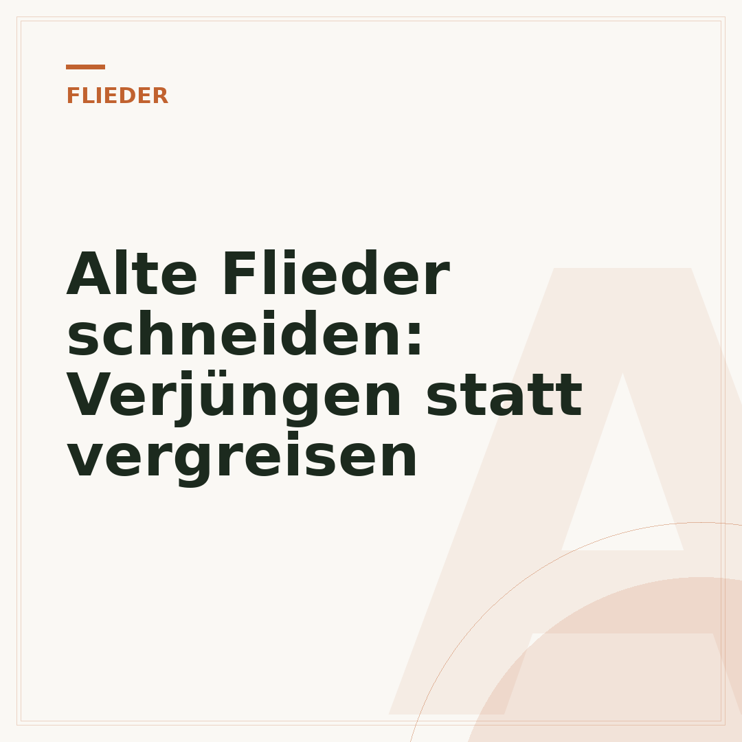 Alte Flieder schneiden: Verjüngen statt vergreisen