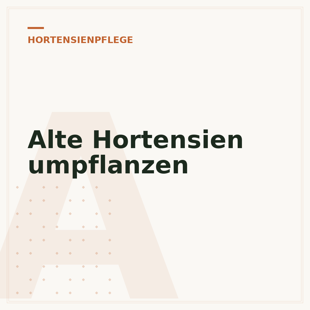 Alte Hortensien umpflanzen