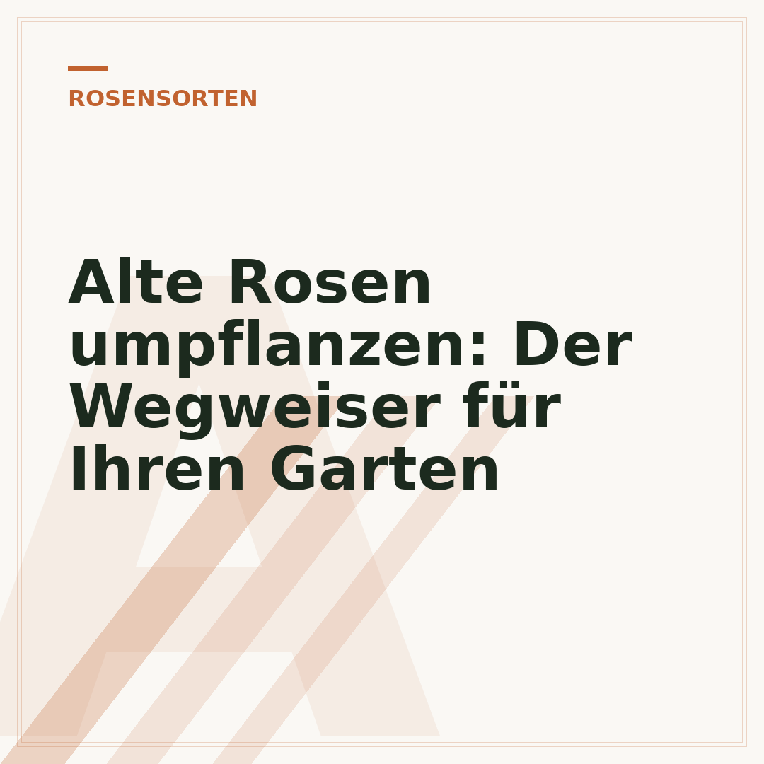 Alte Rosen umpflanzen: Der Wegweiser für Ihren Garten