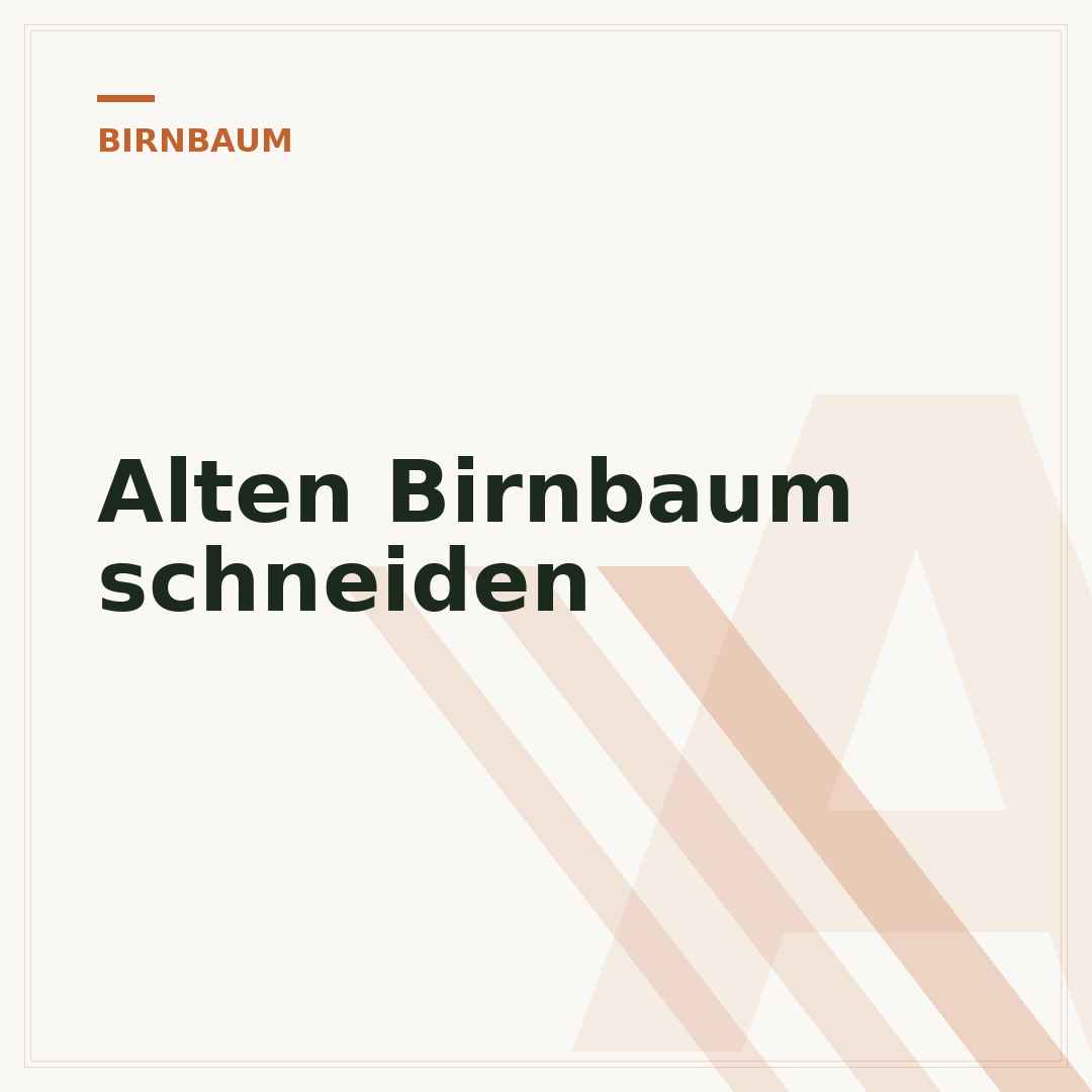 Alten Birnbaum schneiden