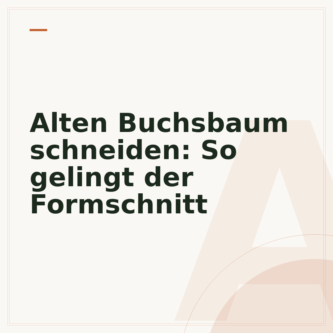 Alten Buchsbaum schneiden: So gelingt der Formschnitt