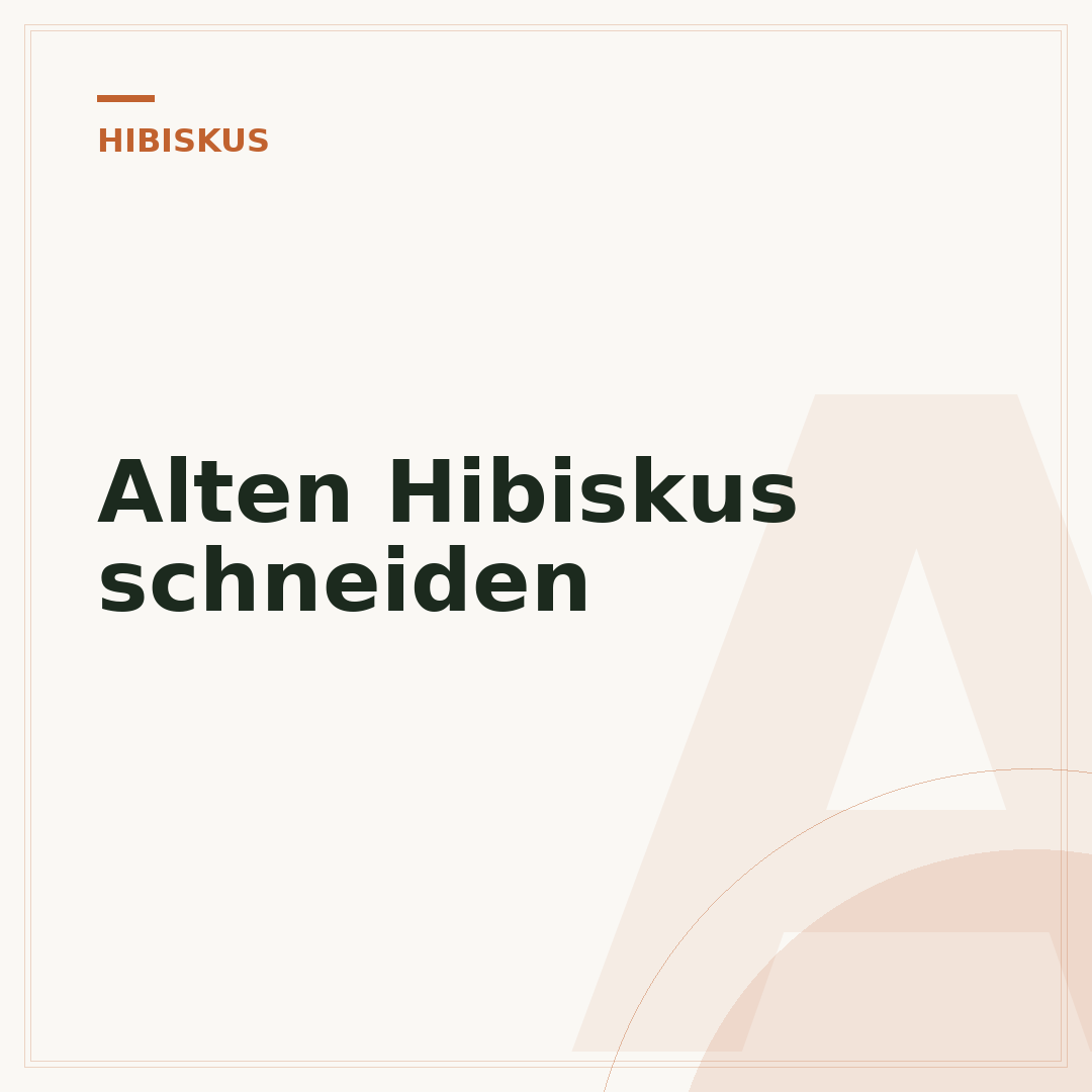 Alten Hibiskus schneiden