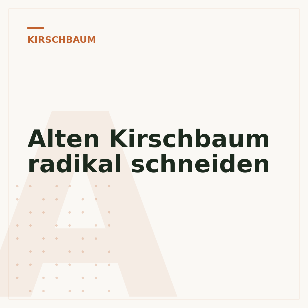 Alten Kirschbaum radikal schneiden