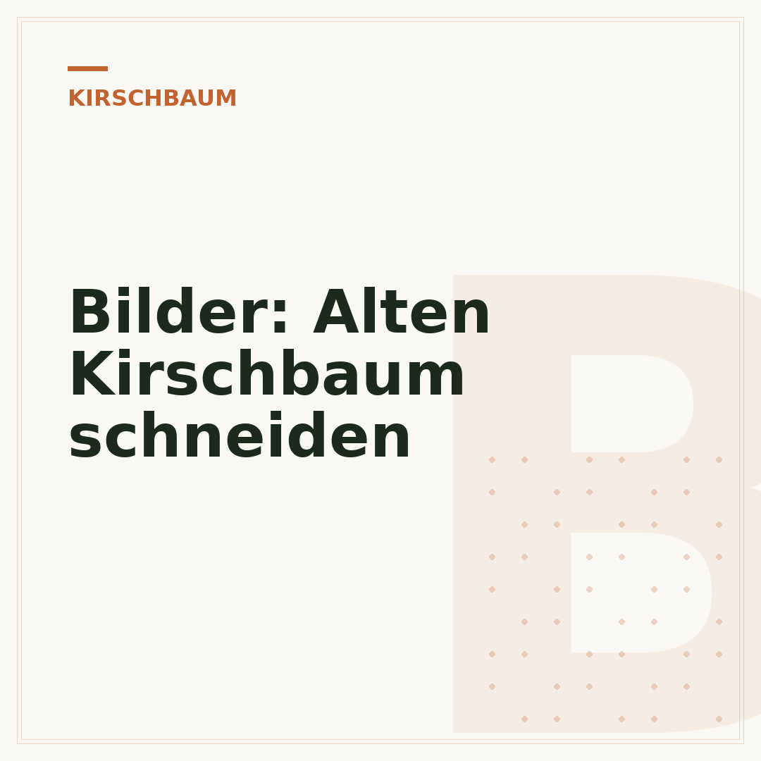 Bilder: Alten Kirschbaum schneiden