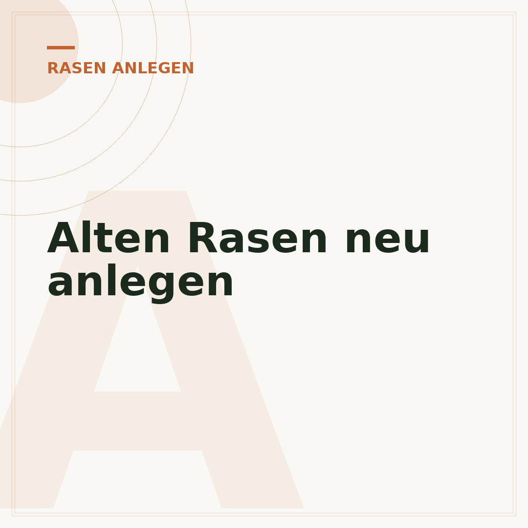 Alten Rasen neu anlegen