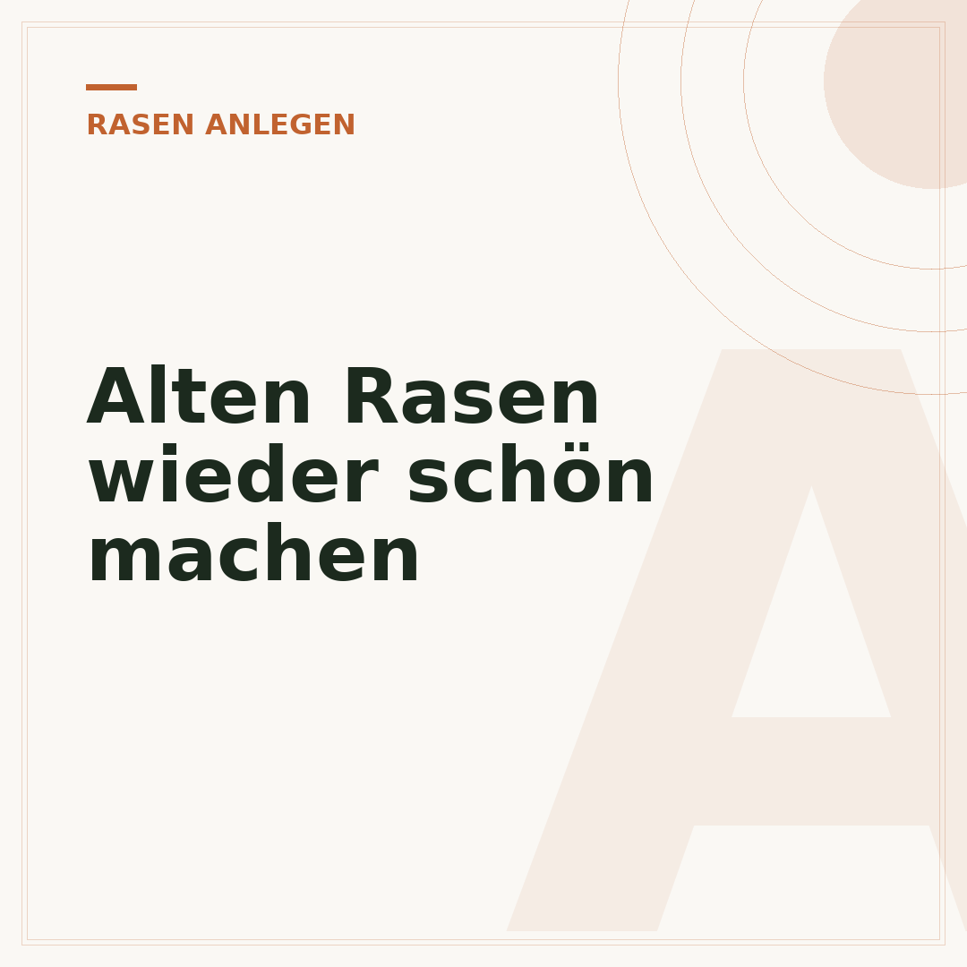 Alten Rasen wieder schön machen