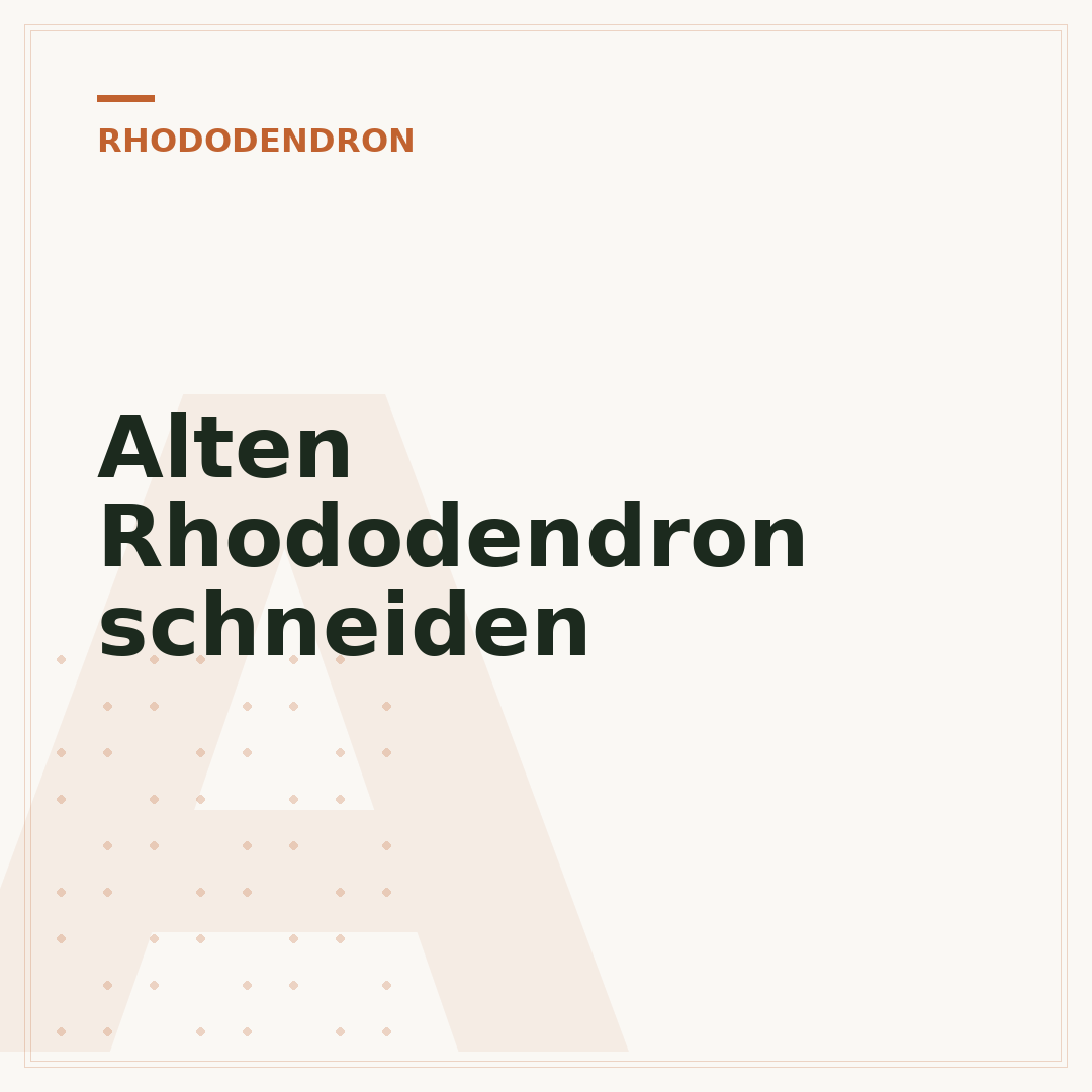 Alten Rhododendron schneiden