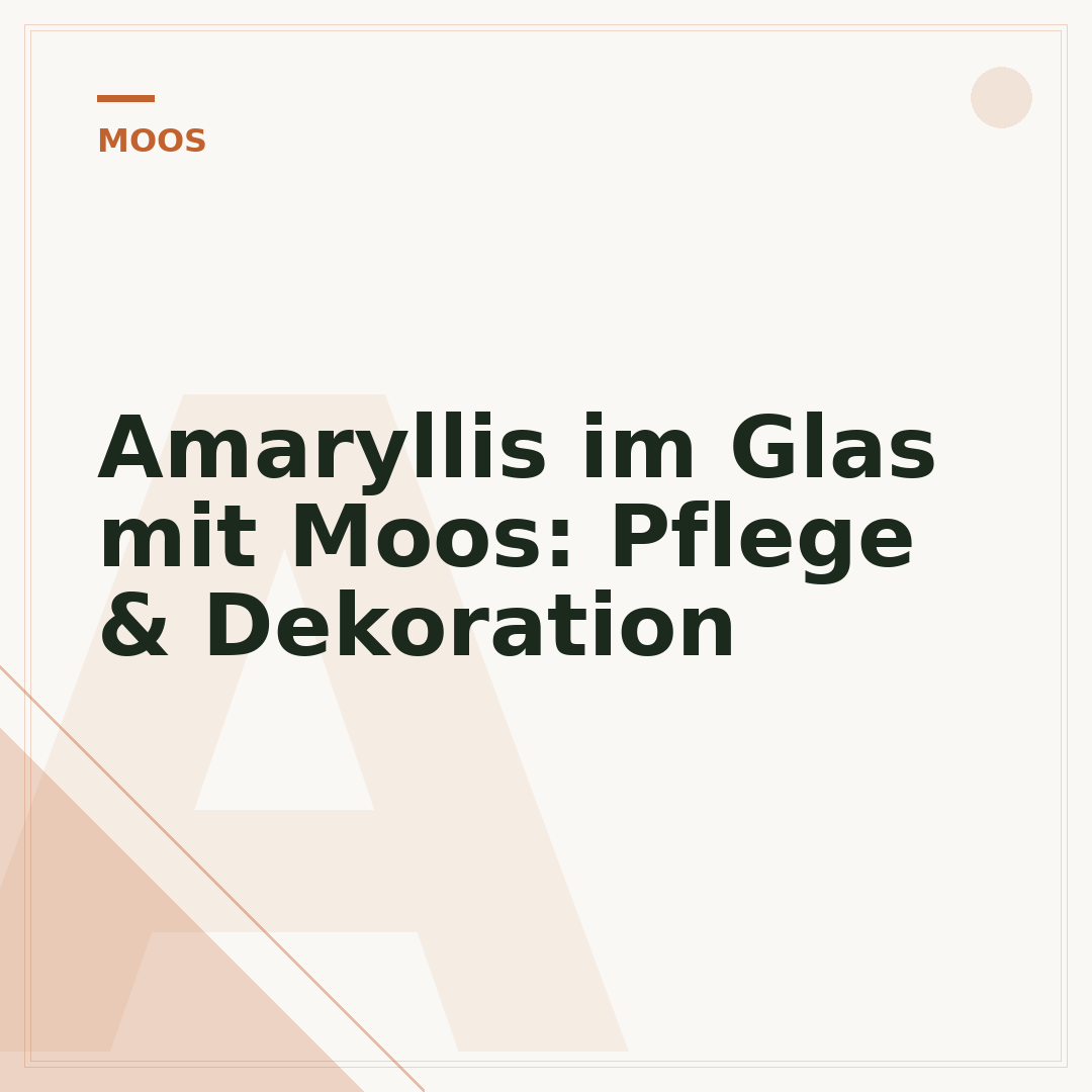 Amaryllis im Glas mit Moos: Pflege & Dekoration