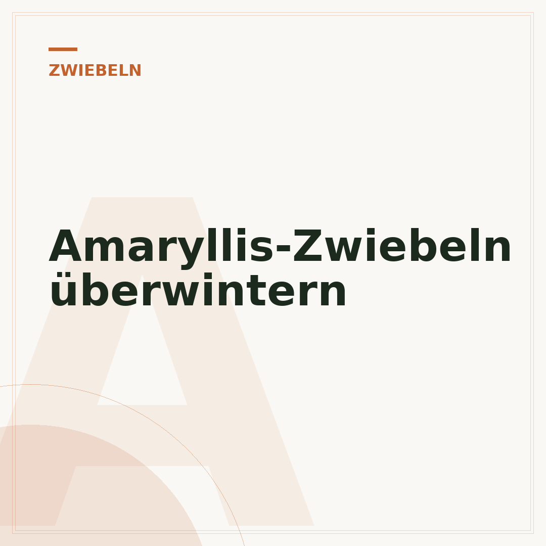 Amaryllis-Zwiebeln überwintern