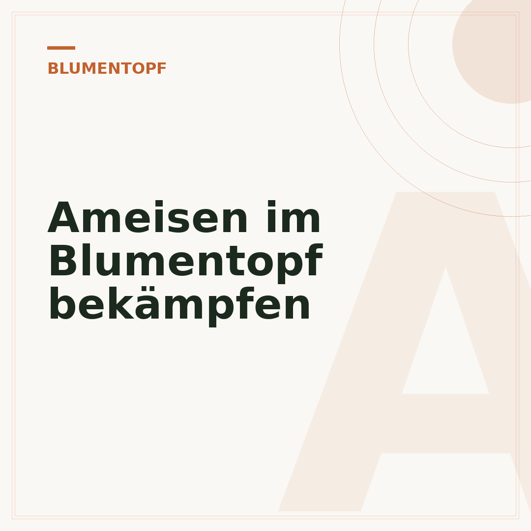 Ameisen im Blumentopf bekämpfen