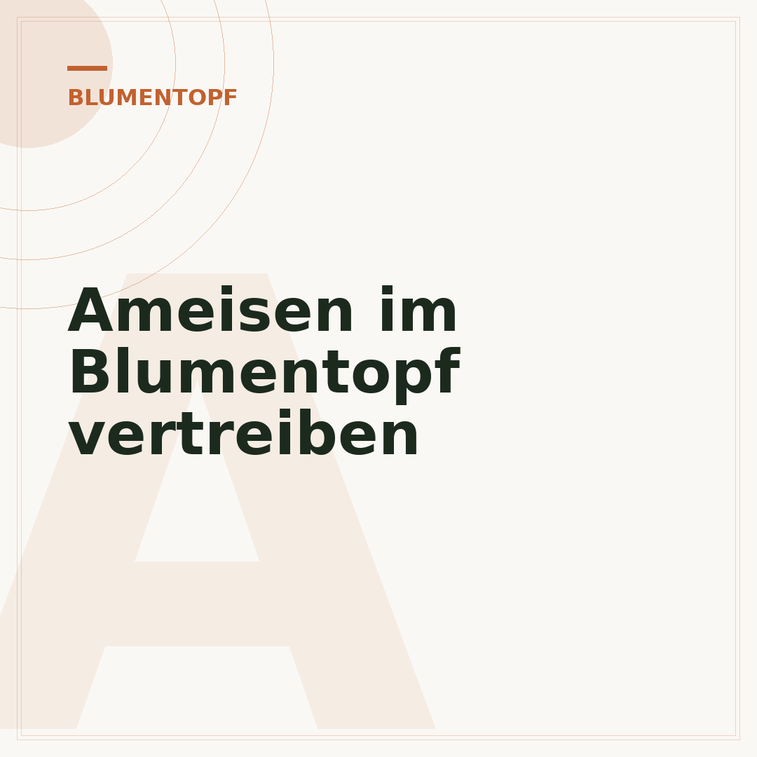 Ameisen im Blumentopf vertreiben