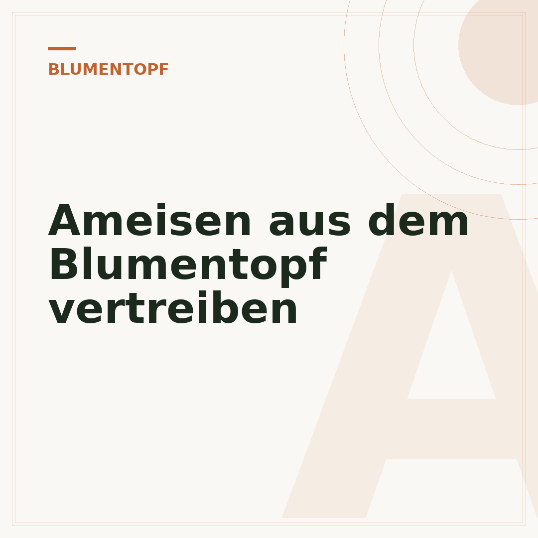 Ameisen aus dem Blumentopf vertreiben