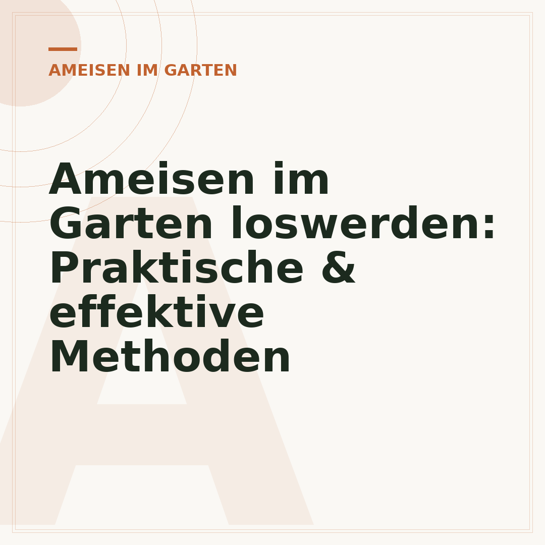 Ameisen im Garten loswerden: Praktische & effektive Methoden