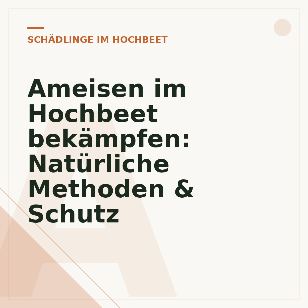 Ameisen im Hochbeet bekämpfen: Natürliche Methoden & Schutz