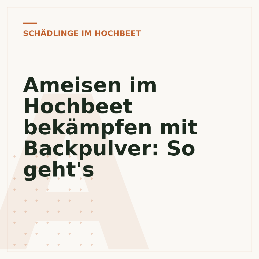 Ameisen im Hochbeet bekämpfen mit Backpulver: So geht's
