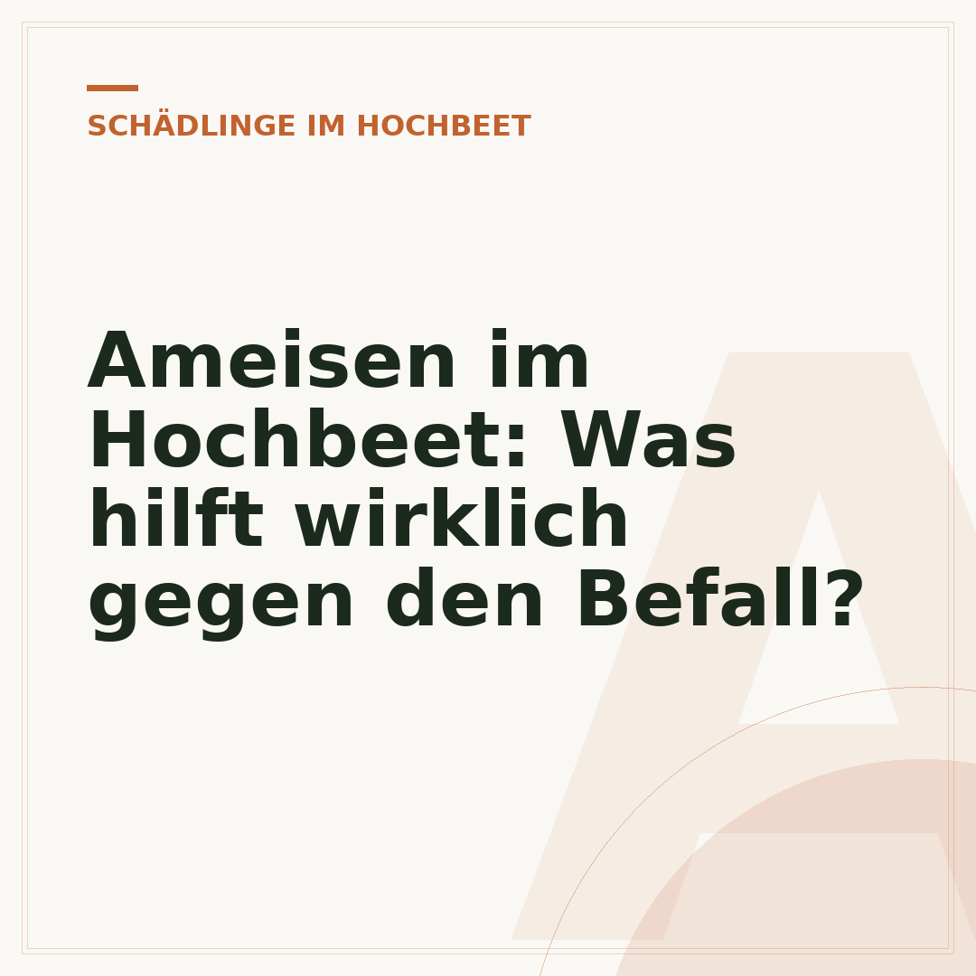 Ameisen im Hochbeet: Was hilft wirklich gegen den Befall?