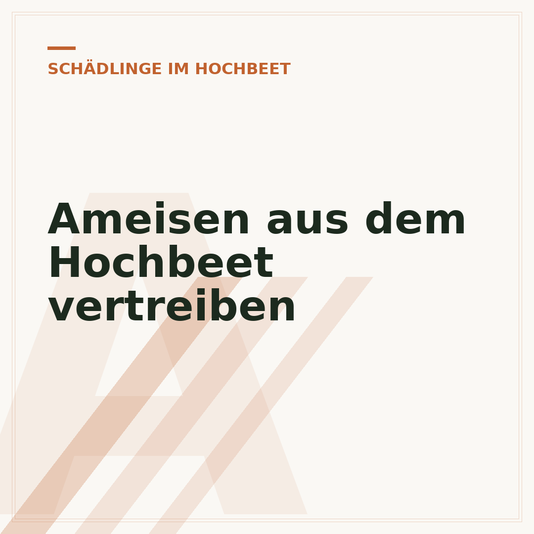 Ameisen aus dem Hochbeet vertreiben