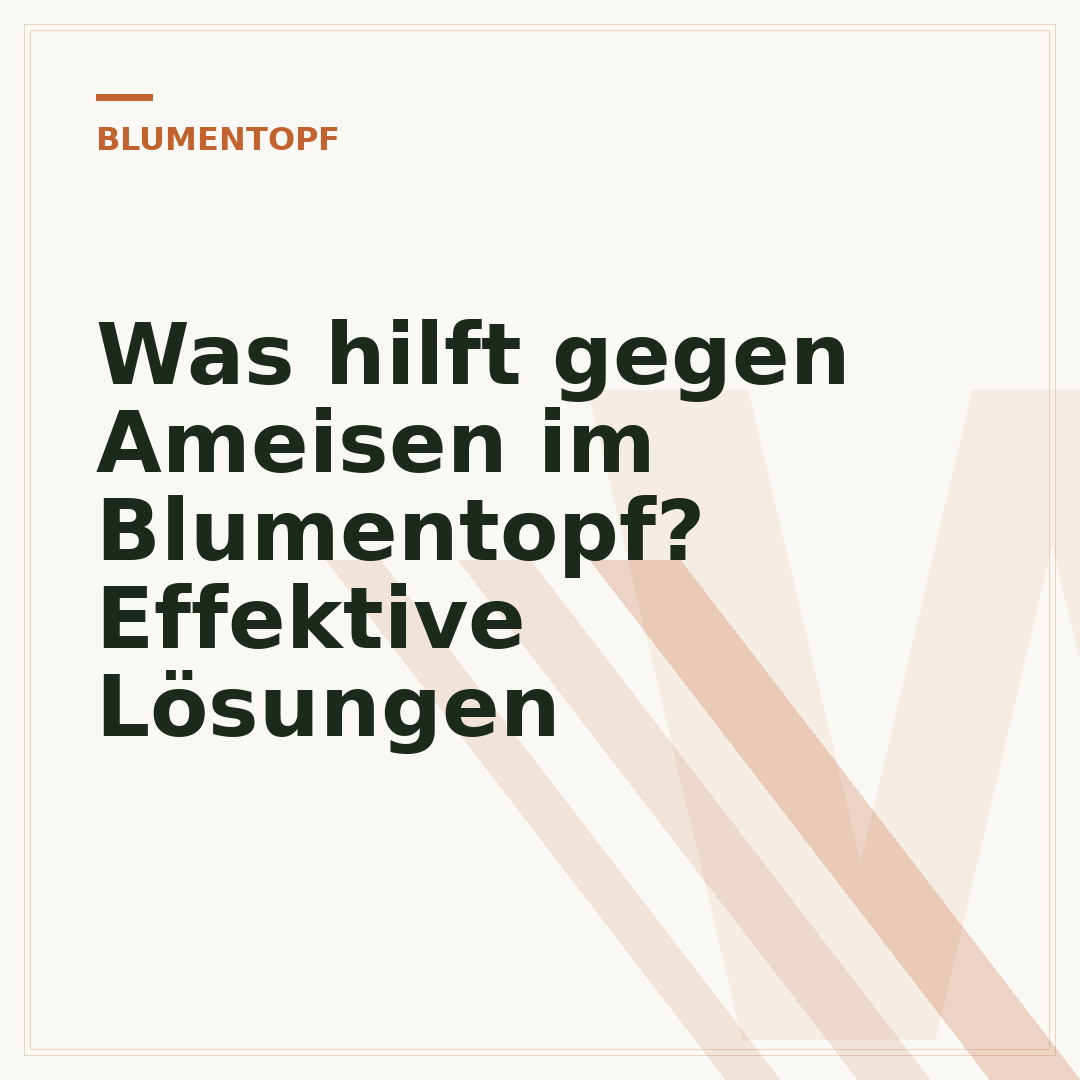 Was hilft gegen Ameisen im Blumentopf? Effektive Lösungen