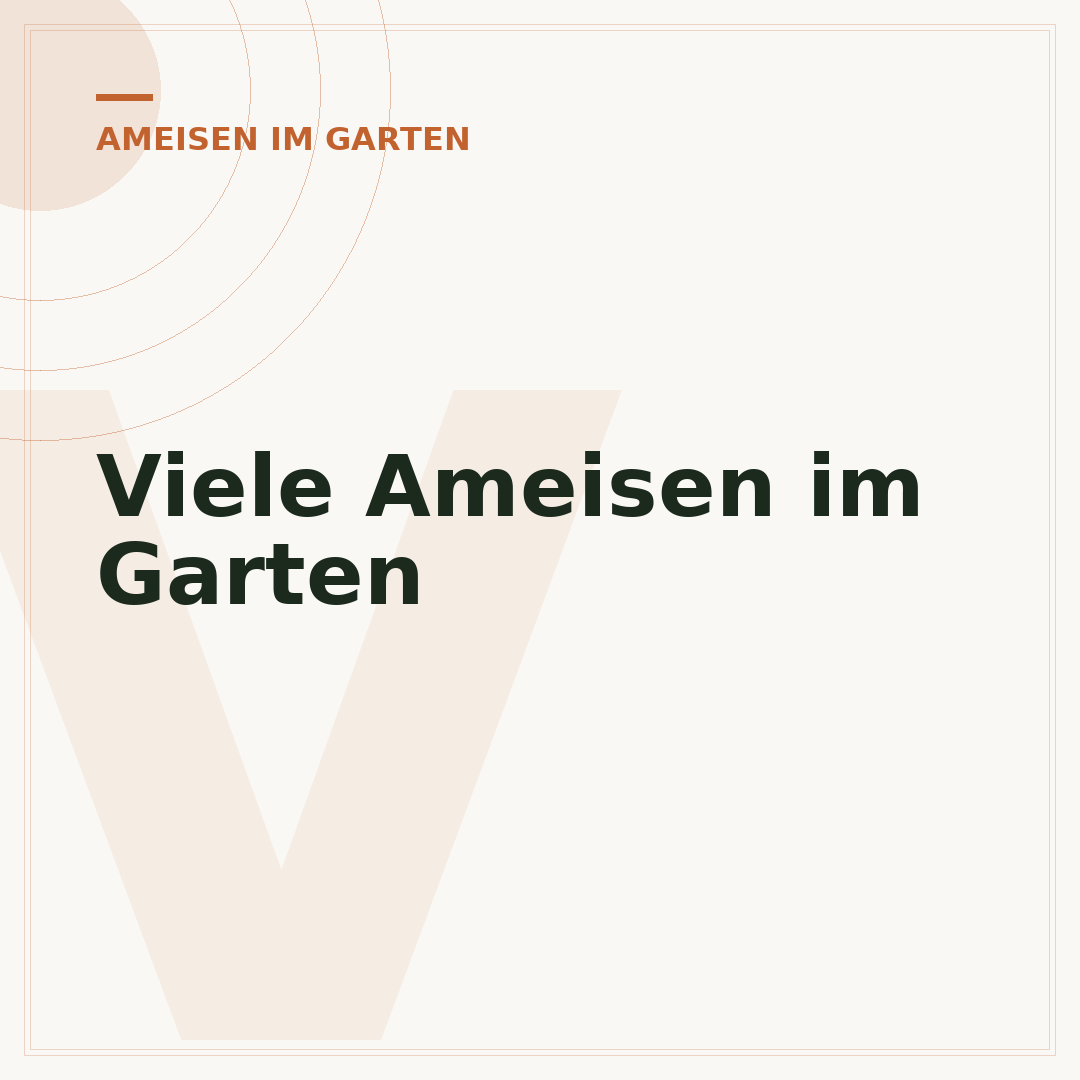 Viele Ameisen im Garten