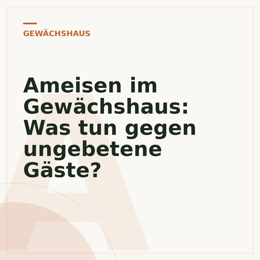 Ameisen im Gewächshaus: Was tun gegen ungebetene Gäste?