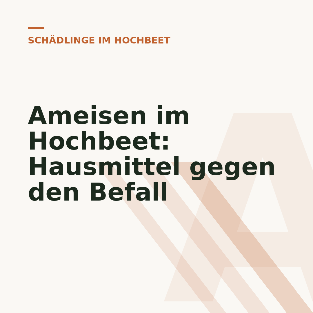 Ameisen im Hochbeet: Hausmittel gegen den Befall