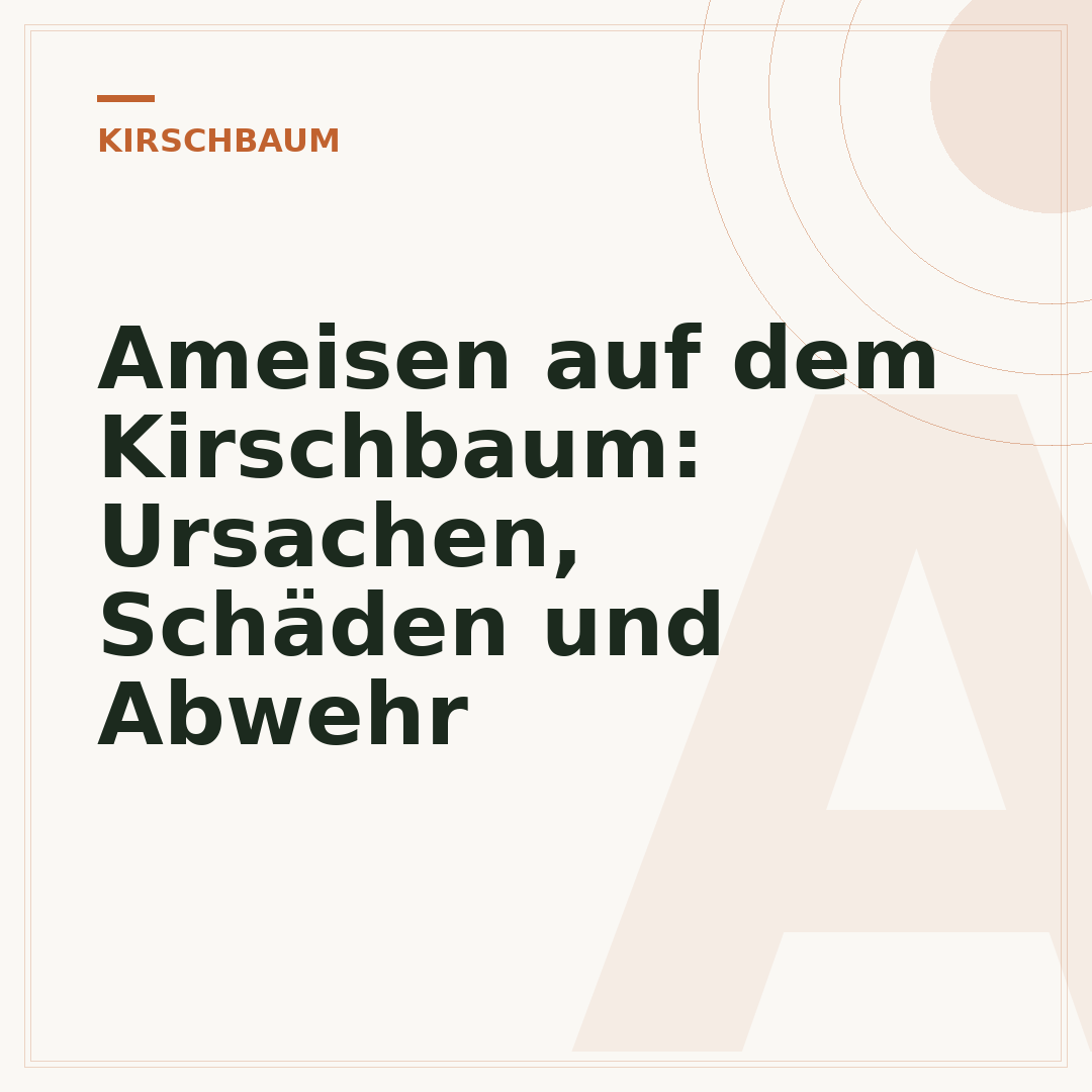 Ameisen auf dem Kirschbaum: Ursachen, Schäden und Abwehr