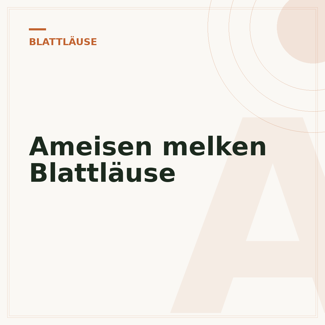 Ameisen melken Blattläuse