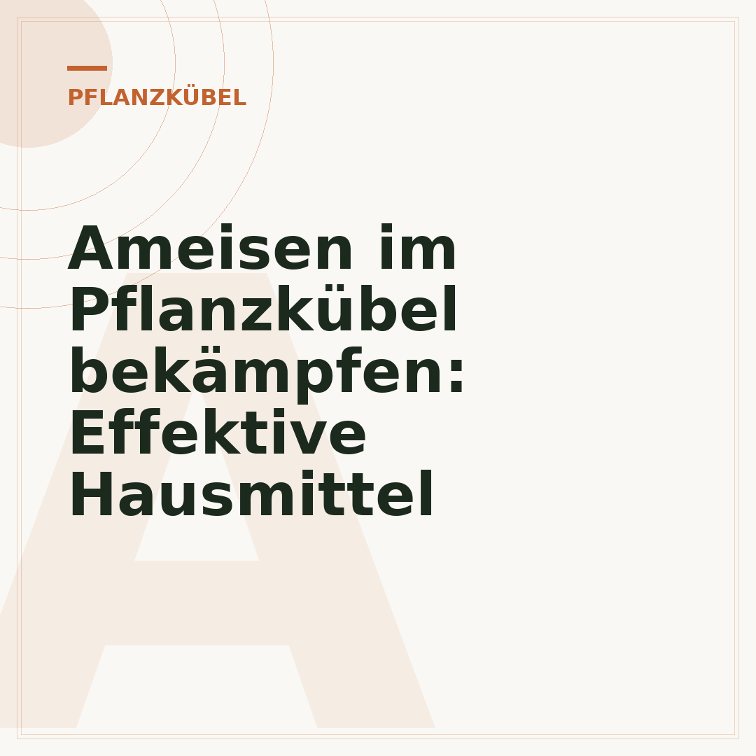 Ameisen im Pflanzkübel bekämpfen: Effektive Hausmittel