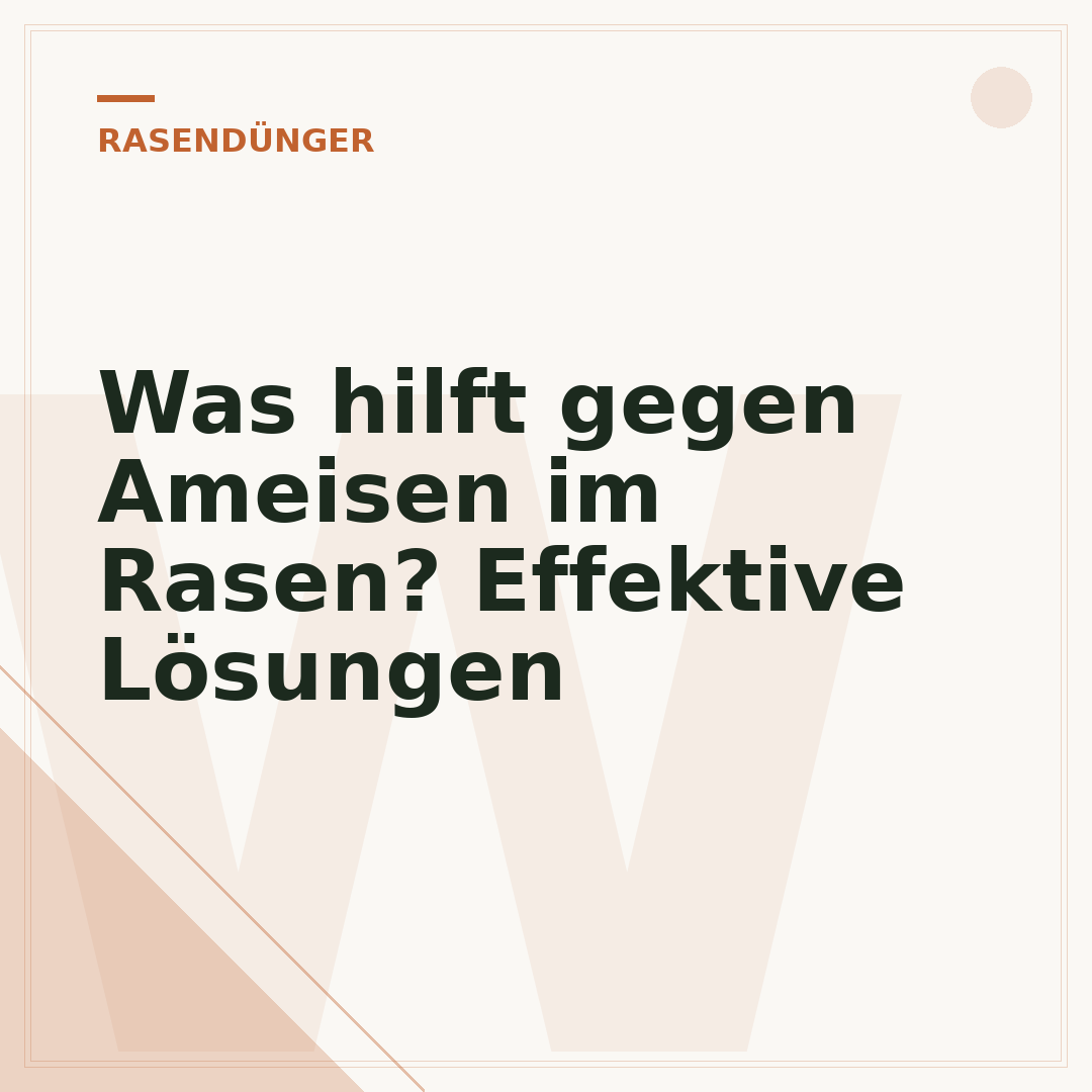 Was hilft gegen Ameisen im Rasen? Effektive Lösungen