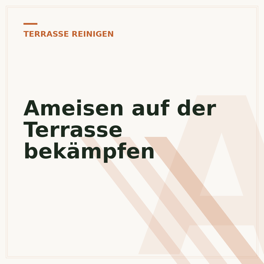 Ameisen auf der Terrasse bekämpfen