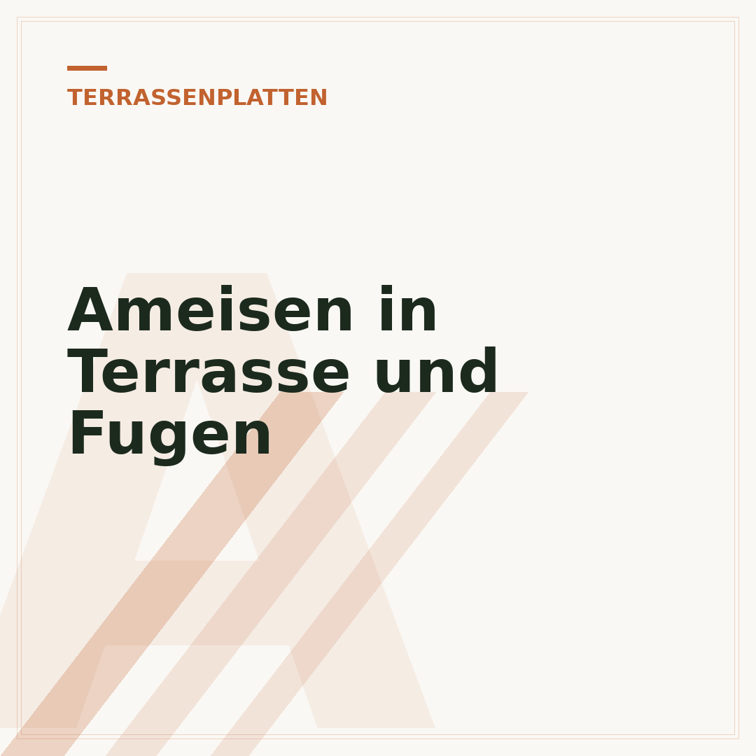 Ameisen in Terrasse und Fugen