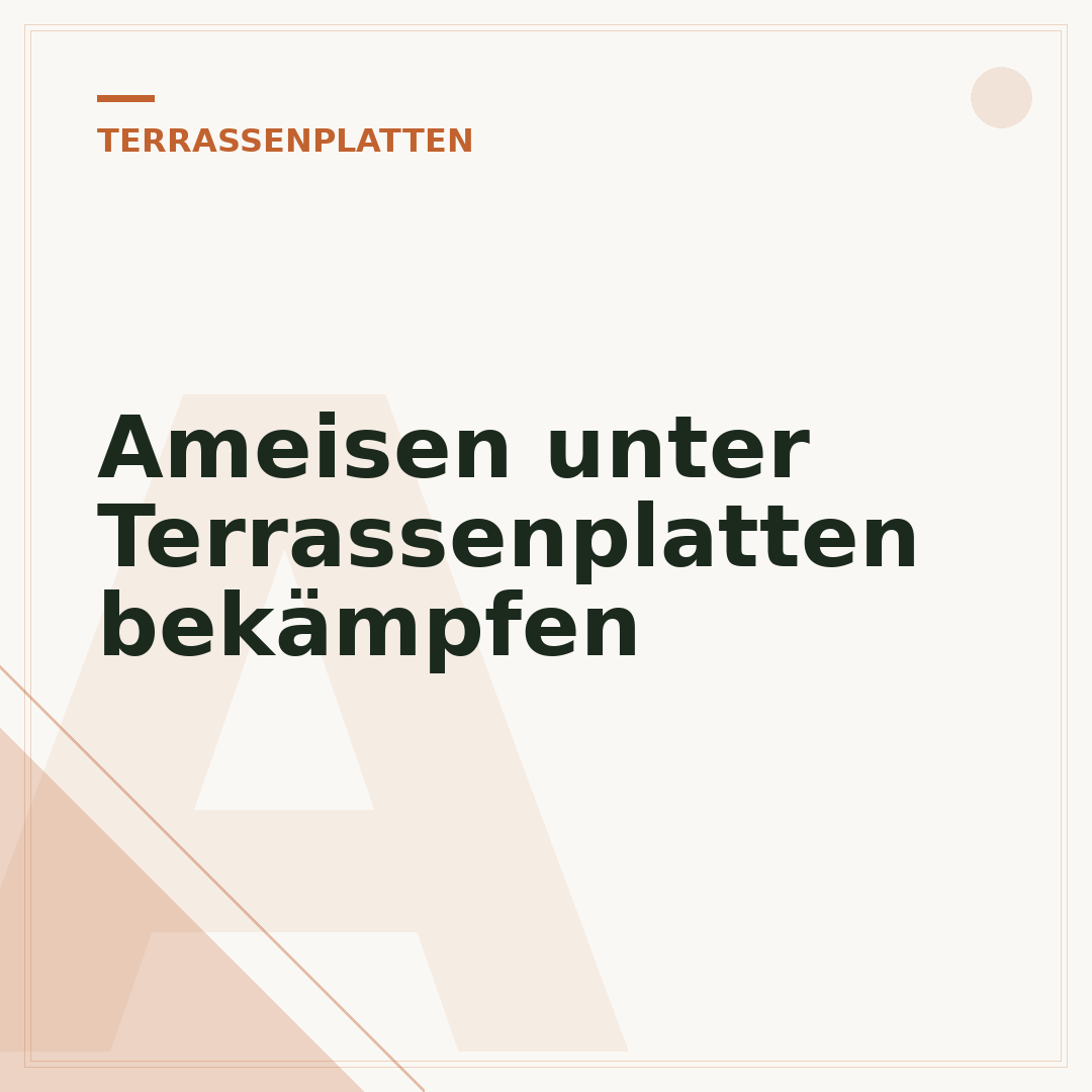 Ameisen unter Terrassenplatten bekämpfen