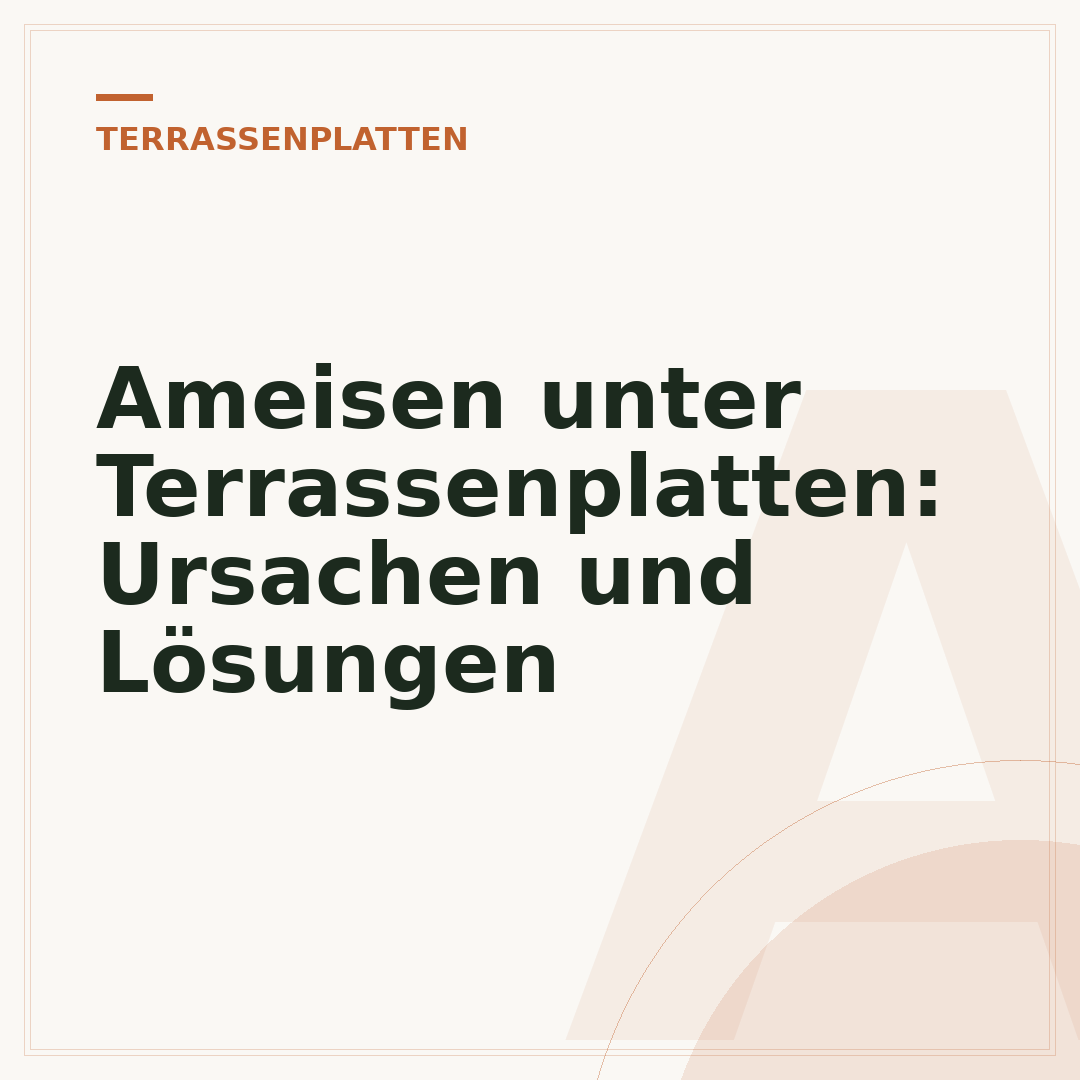 Ameisen unter Terrassenplatten: Ursachen und Lösungen